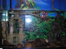 Left side of Tank