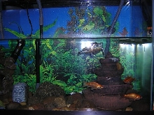 Right side of tank