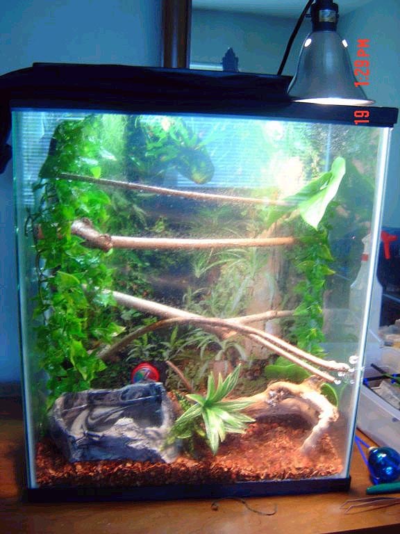 tank1