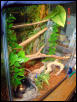 tank2