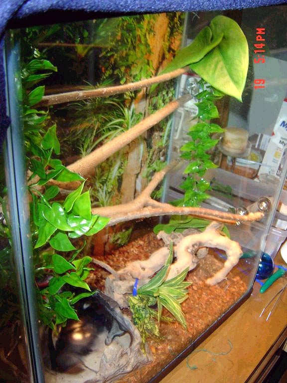 tank2