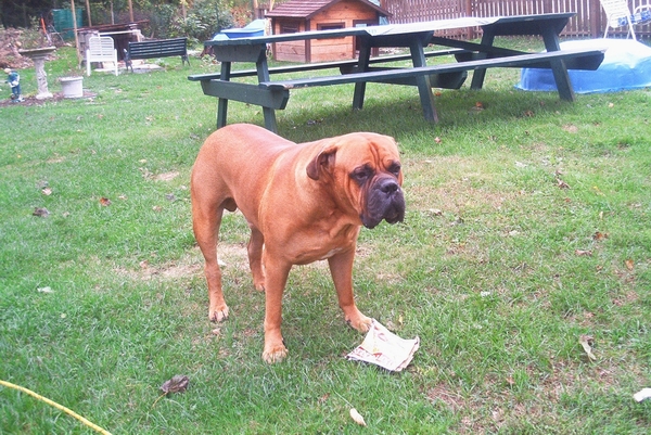 Zeus