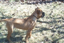 Our Keeper  (Nevaeh)