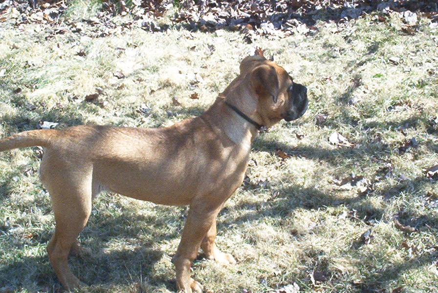 Our Keeper  (Nevaeh)