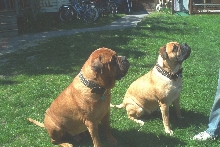 Zeus and Zena