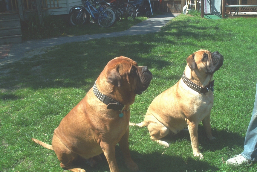 Zeus and Zena
