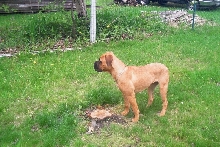 Nevaeh at 6 months
