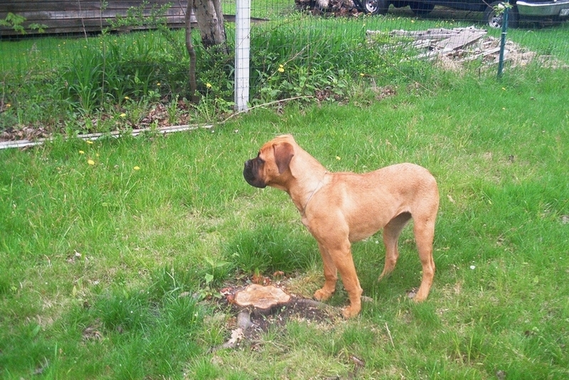 Nevaeh at 6 months