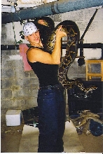 zacks BIG female burm