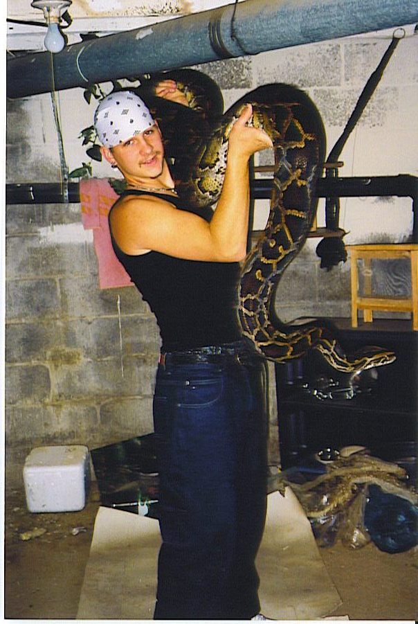 zacks BIG female burm