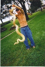 zacks male albino burmese python