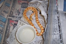 04 amel affinis