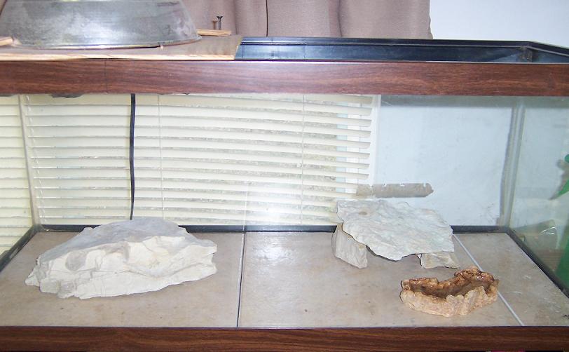 Male Leopard cage