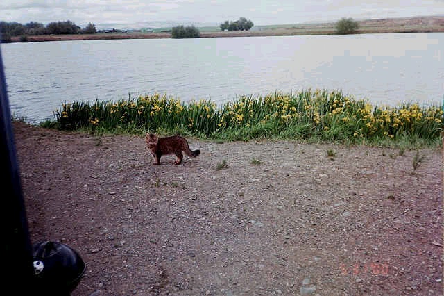 babba lake