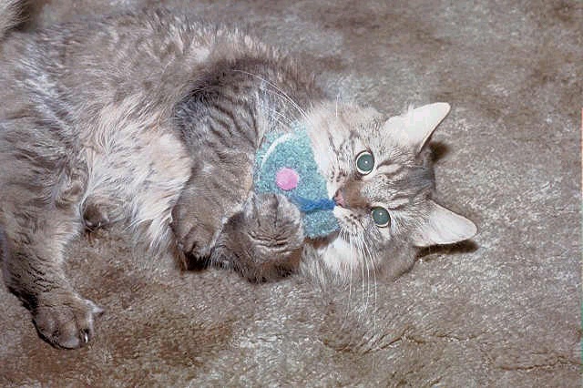 babbas toy