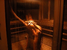 My Croc Monitor enclosure