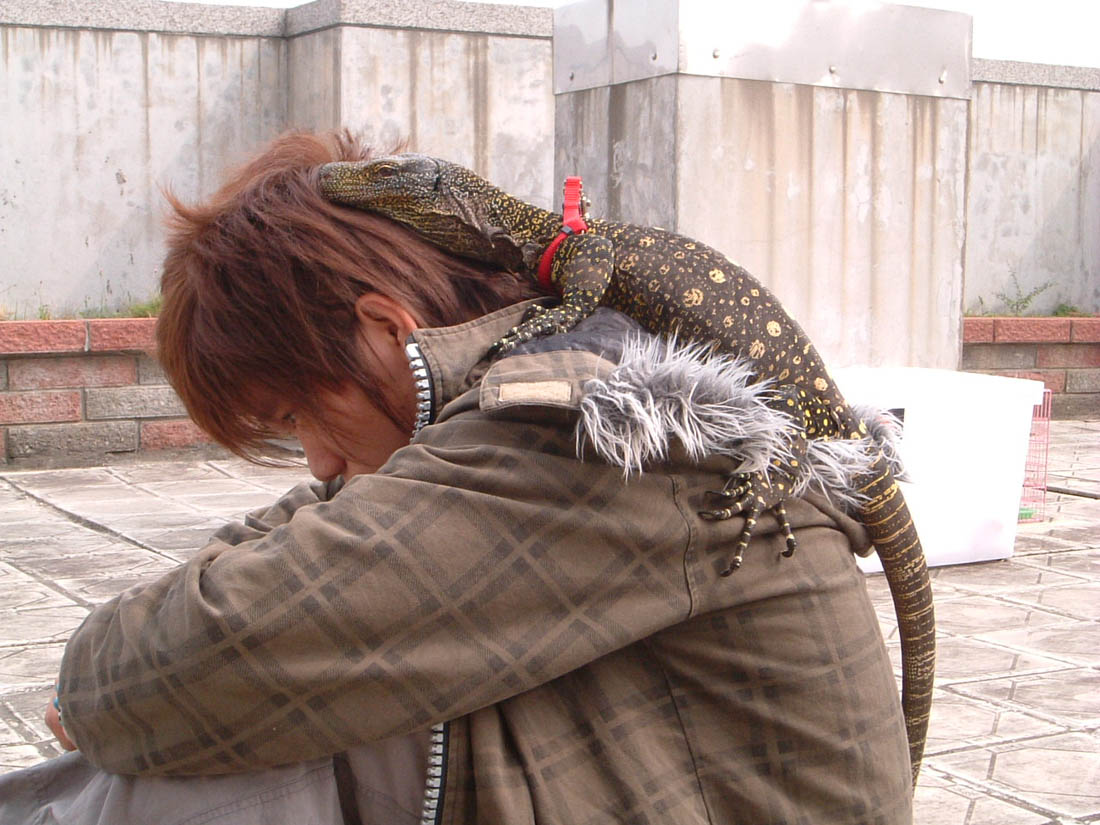 I and My Croc