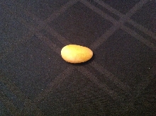 slug pic