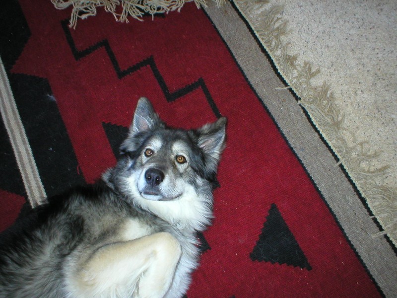 Drako
