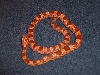 guttatus amel