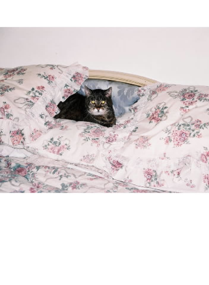 This is also my sweet Moe. She lived from 1995-2004