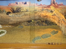 vivarium