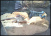 '98 cb Pair taken in '00