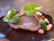 Hypo froglets