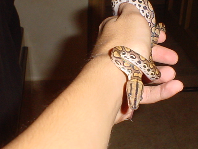 my new brb!