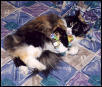 Bibi plays with her stuffed froggie
