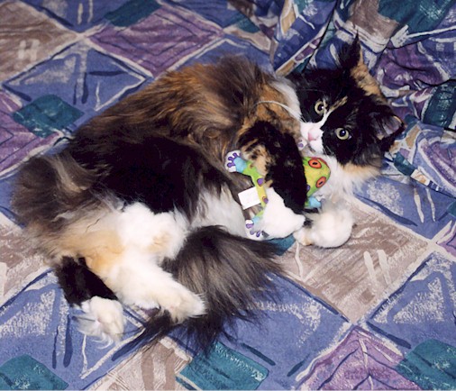 Bibi plays with her stuffed froggie