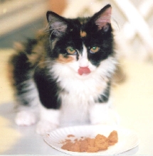 Bijou--Yum Yum, food!