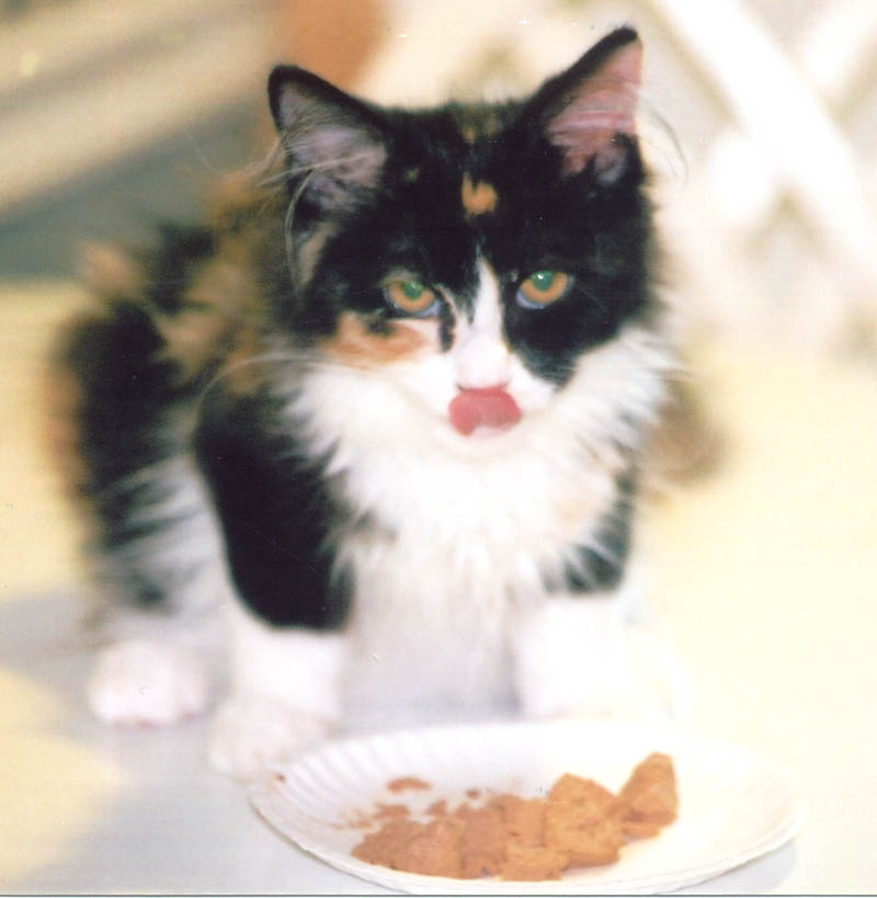 Bijou--Yum Yum, food!