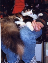 See guys?  You, too, can train your human.
