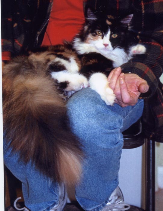 See guys?  You, too, can train your human.