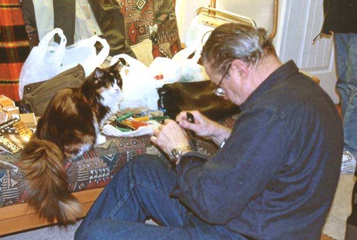 Supervisory pussy-cat