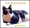Jester the Hero Kitty