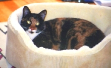 But I really LOVE my bed, too!