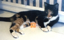 Kefira and her toy
