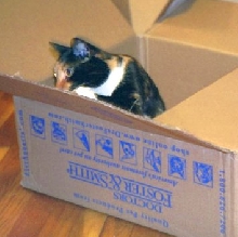 I LOVE this box!