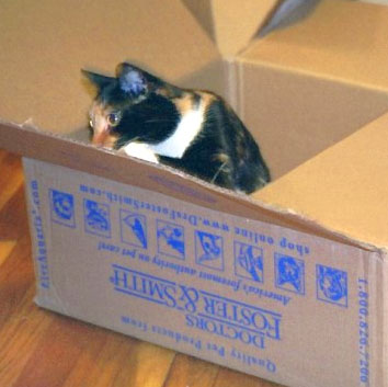 I LOVE this box!