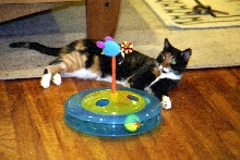 Kefira with birthday toy I