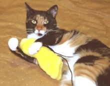 Kefira with "toy" 2