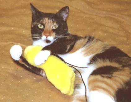 Kefira with "toy" 2