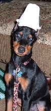 chyna@9weeks