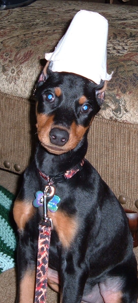 chyna@9weeks