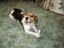 Smiling!