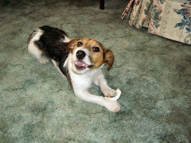 Smiling!
