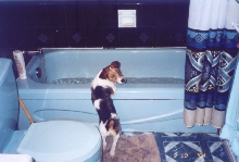Bath Time!