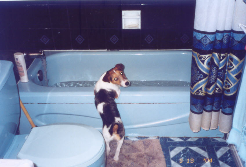 Bath Time!